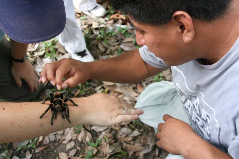 Mexico & Guatemala 2010 - 1129